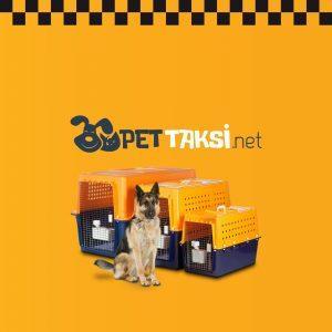 Pet Taxi İstanbul